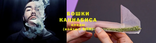 соль ск Горно-Алтайск