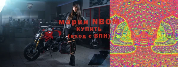 прущий лед Вяземский