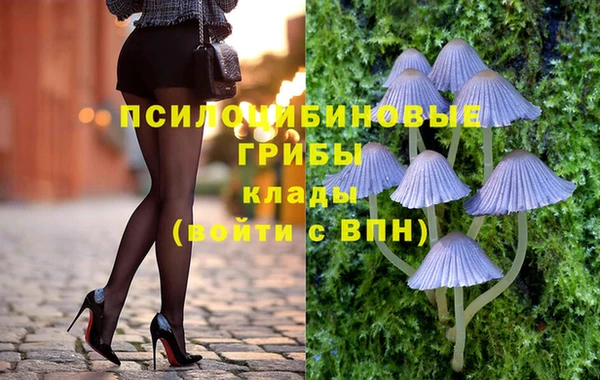 ПСИЛОЦИБИНОВЫЕ ГРИБЫ Сосновый Бор