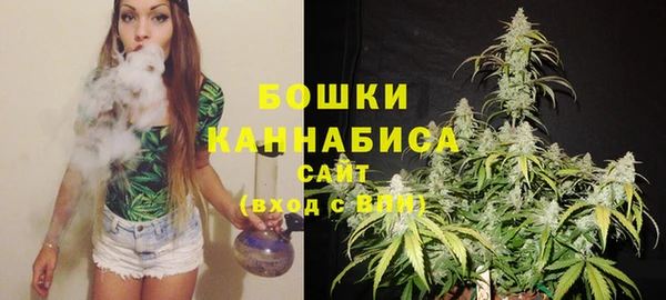 соль ск Горно-Алтайск