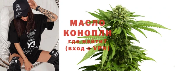 прущий лед Вяземский