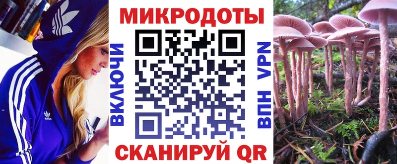 МЕГА ссылки  Заречный  Псилоцибиновые грибы прущие грибы 